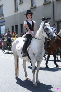 photographe-reportage-evenements-corso-defile-fetes-equestre-landes-aire-sur-adour-chevaux2